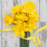 Trend Watch: Mellow Yellow set to Brighten up Weddings this Spring   